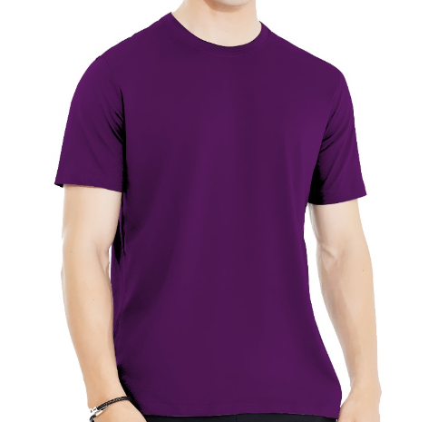 Plain Purple Half Sleeves Tee